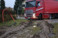 DS111061