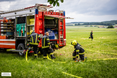 gerald_b-ad5a7415_web_55307398499_o