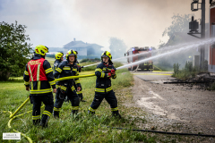 gerald_b-ad5a7548_web_55307400709_o