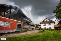 gerald_b-ad5a7556_web_55307400659_o
