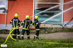 gerald_b-ad5a7582_web_55307577850_o