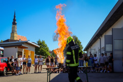 IMG_3287